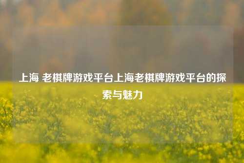 上海 老棋牌游戏平台上海老棋牌游戏平台的探索与魅力