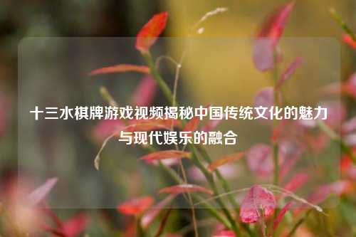 十三水棋牌游戏视频揭秘中国传统文化的魅力与现代娱乐的融合