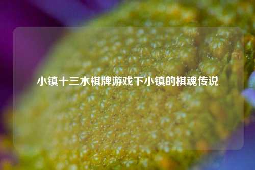小镇十三水棋牌游戏下小镇的棋魂传说