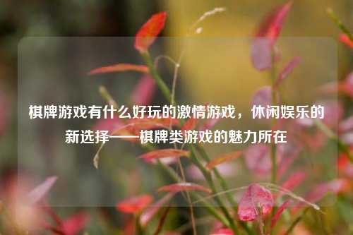 棋牌游戏有什么好玩的激情游戏，休闲娱乐的新选择——棋牌类游戏的魅力所在
