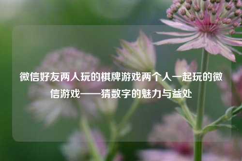微信好友两人玩的棋牌游戏两个人一起玩的微信游戏——猜数字的魅力与益处
