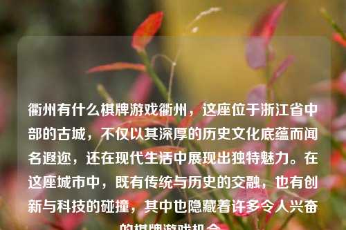 衢州有什么棋牌游戏衢州，这座位于浙江省中部的古城，不仅以其深厚的历史文化底蕴而闻名遐迩，还在现代生活中展现出独特魅力。在这座城市中，既有传统与历史的交融，也有创新与科技的碰撞，其中也隐藏着许多令人兴奋的棋牌游戏机会。